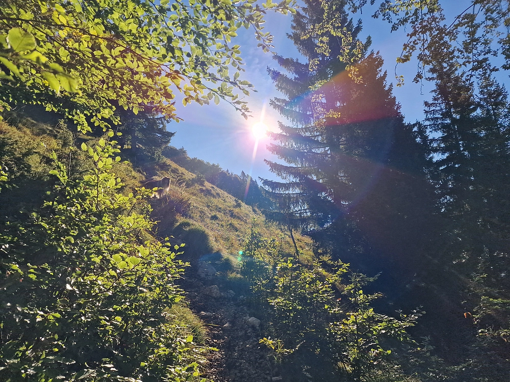 Tolsti vrh, 4. 10. 2025