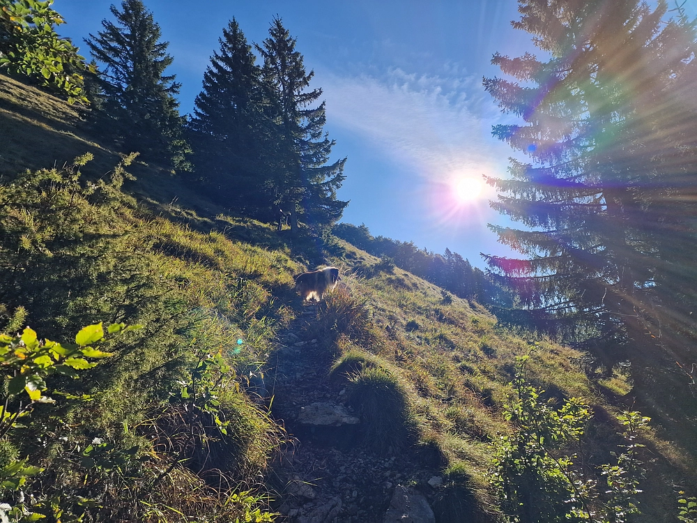 Tolsti vrh, 4. 10. 2025