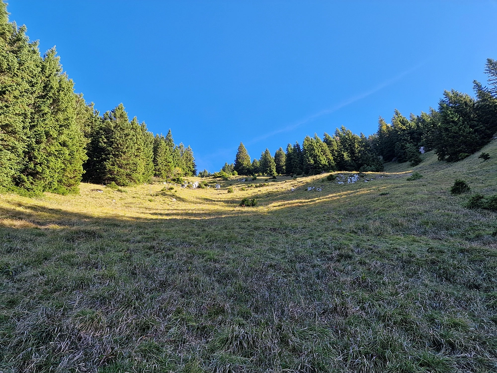 Tolsti vrh, 4. 10. 2025