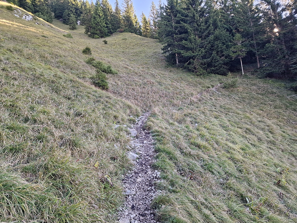 Tolsti vrh, 4. 10. 2025