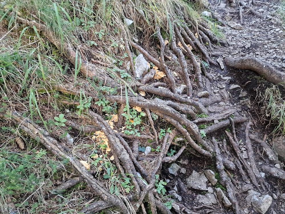 Tolsti vrh, 4. 10. 2025