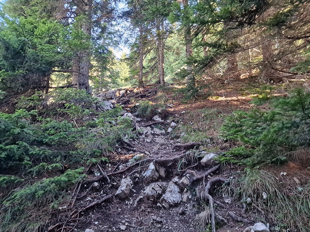 Tolsti vrh, 4. 10. 2025