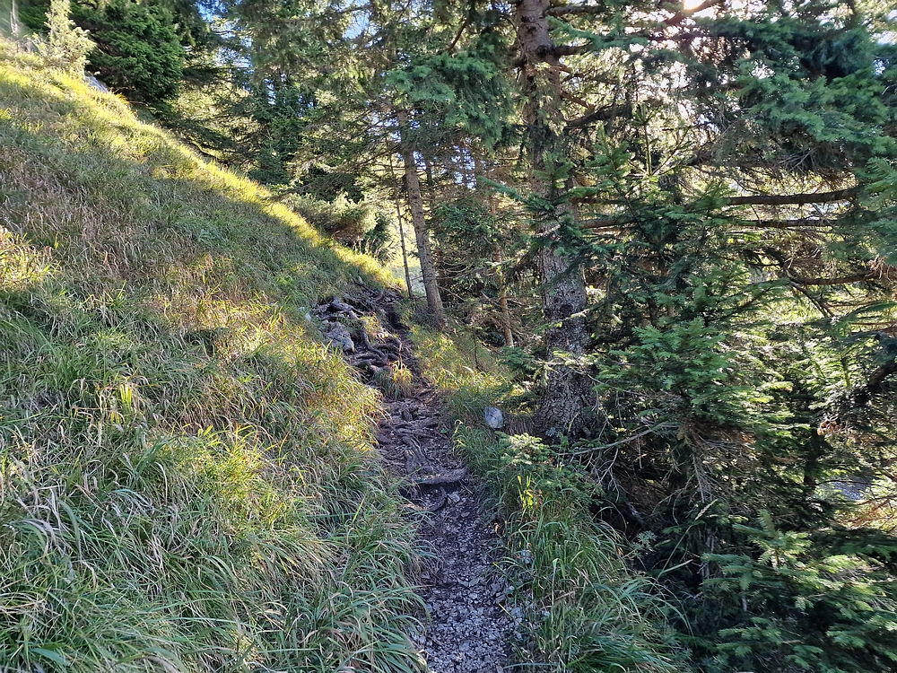 Tolsti vrh, 4. 10. 2025