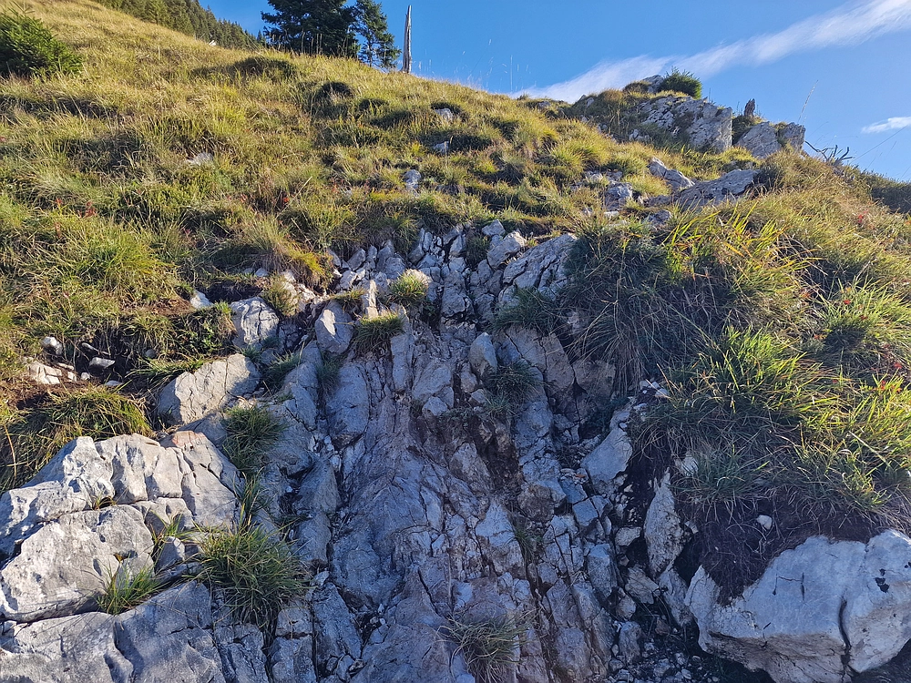 Tolsti vrh, 4. 10. 2025