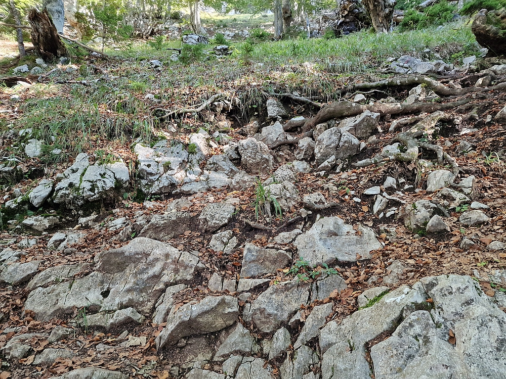 Tolsti vrh, 4. 10. 2025