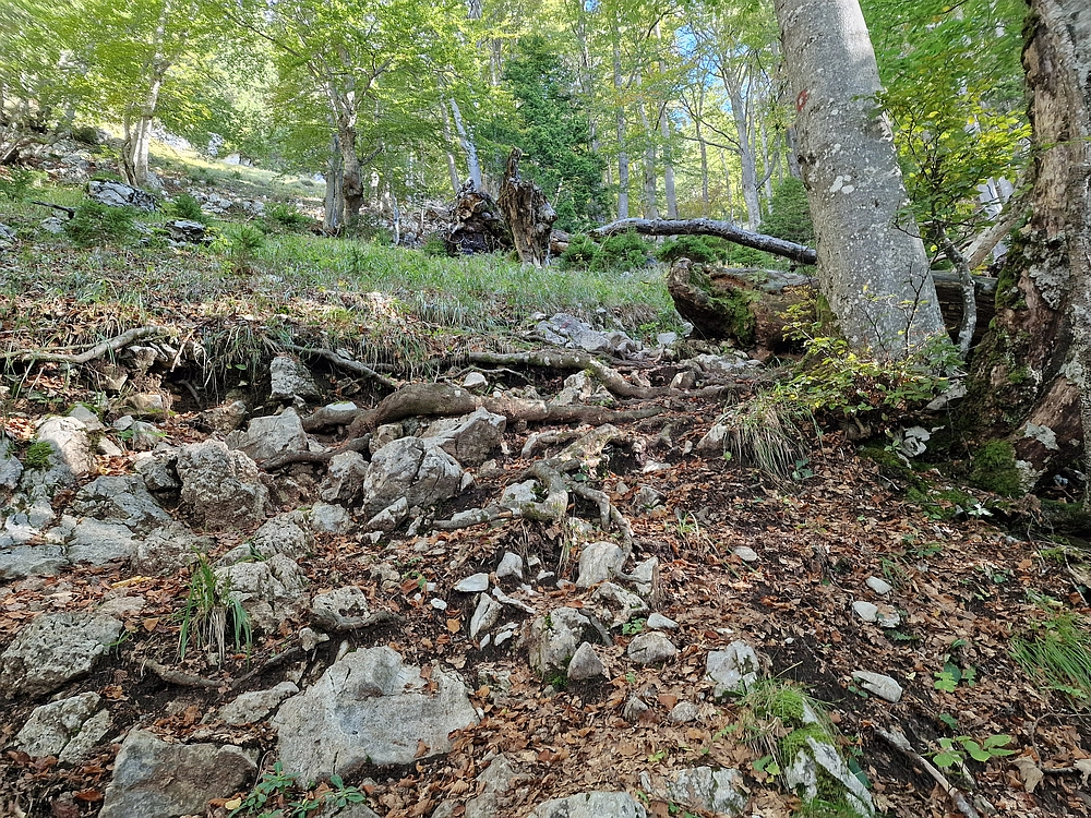 Tolsti vrh, 4. 10. 2025