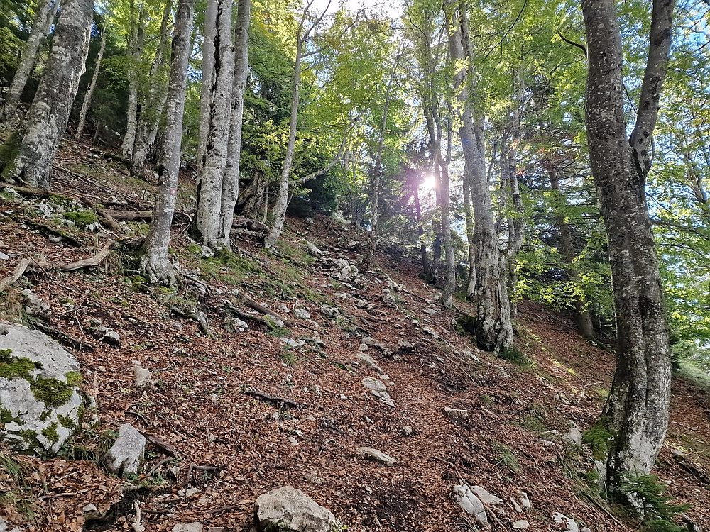 Tolsti vrh, 4. 10. 2025