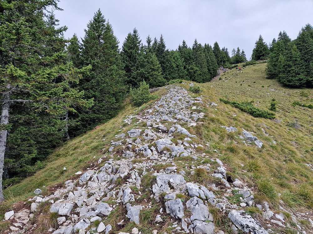 Tolsti vrh, 4. 10. 2025