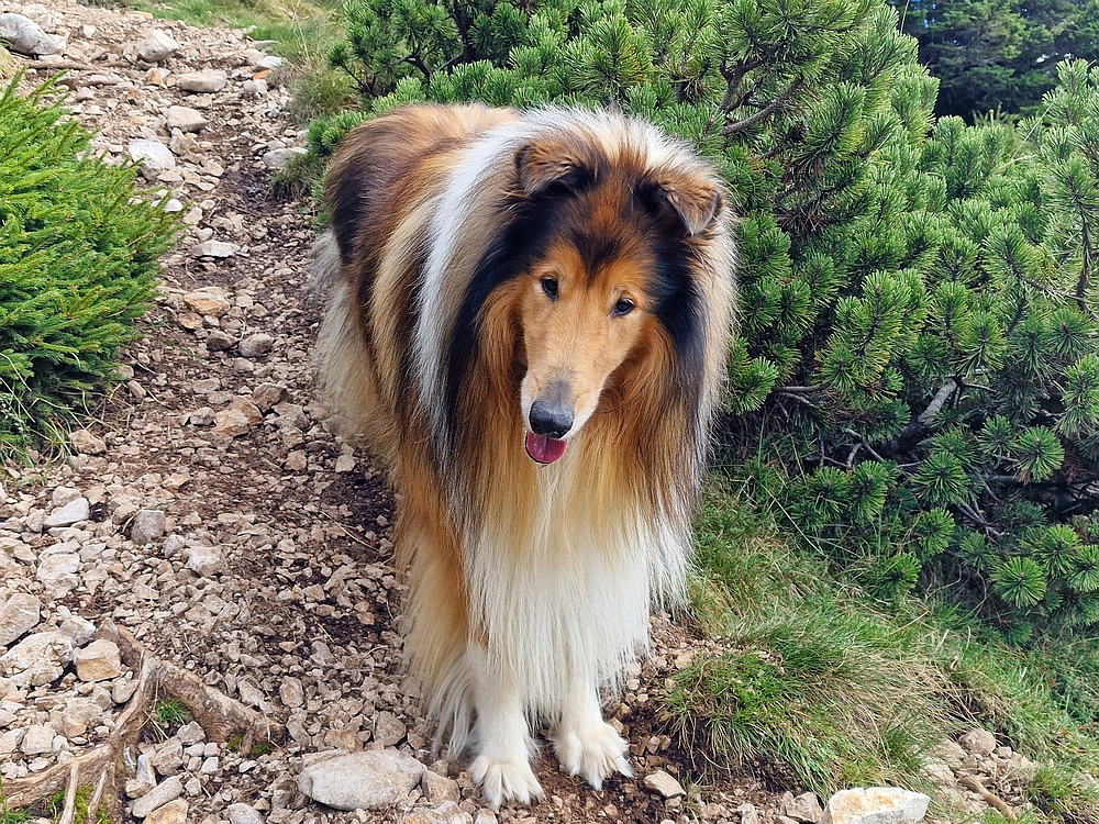 Tolsti vrh, 4. 10. 2025