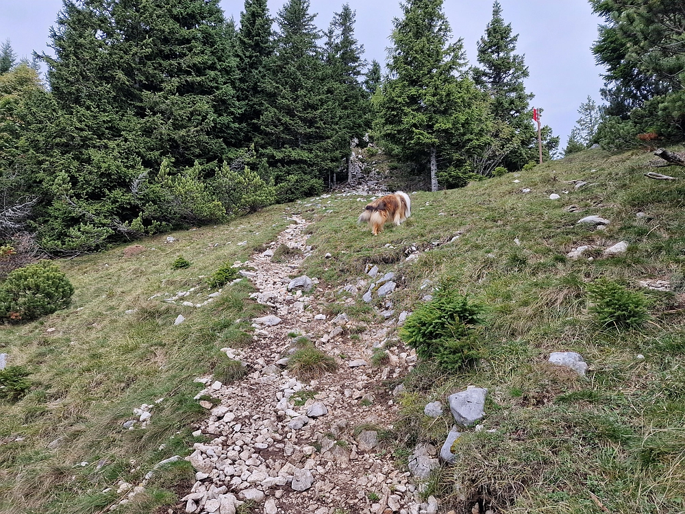 Tolsti vrh, 4. 10. 2025