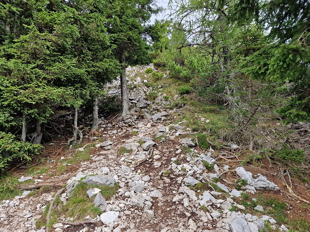 Tolsti vrh, 4. 10. 2025