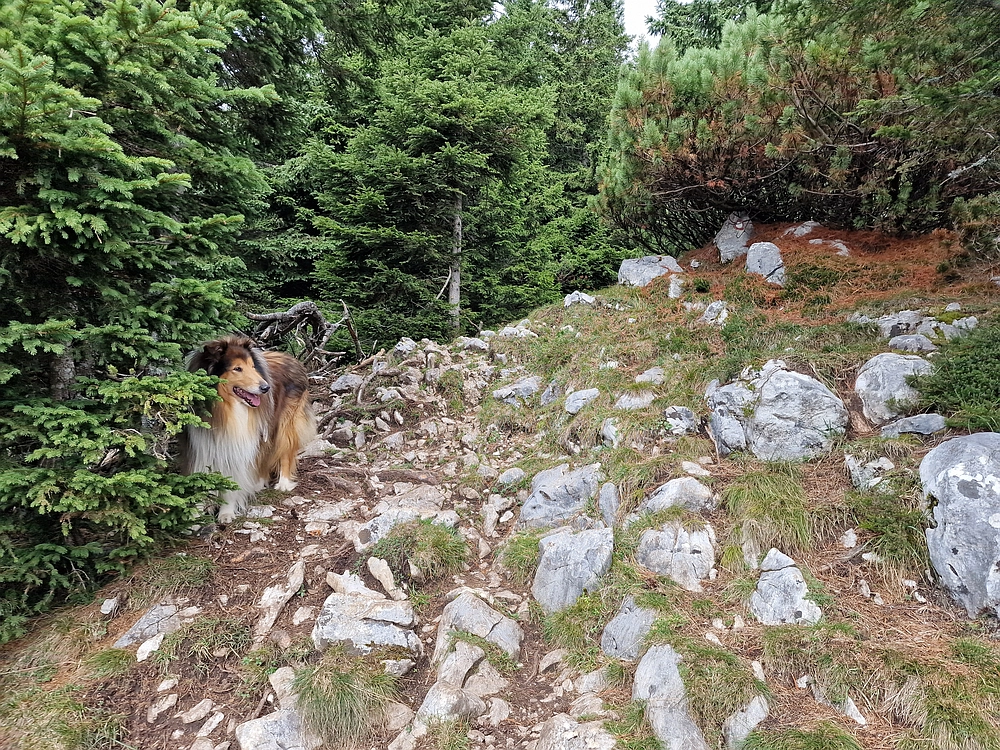 Tolsti vrh, 4. 10. 2025