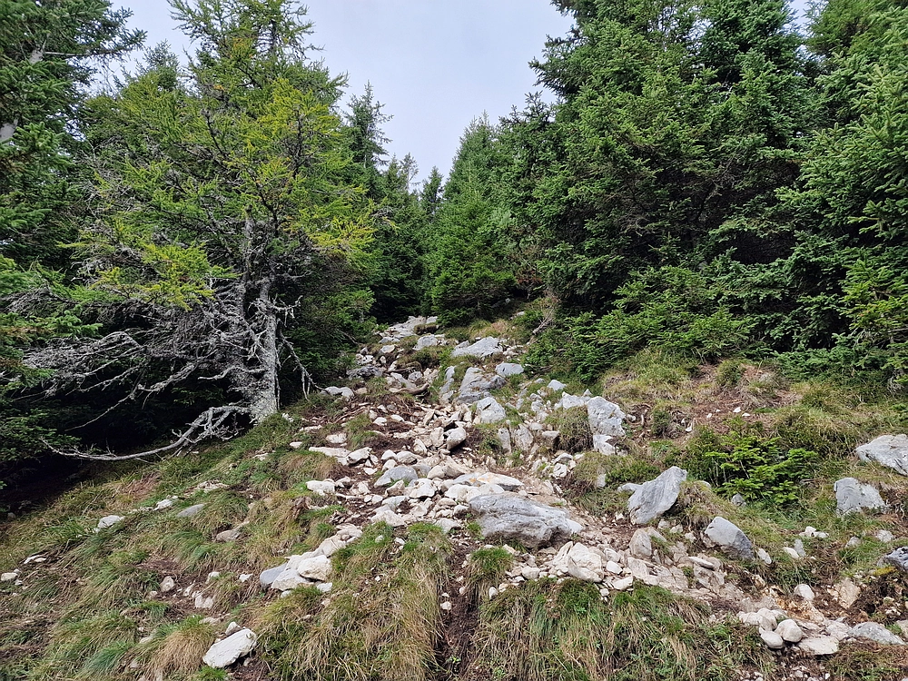 Tolsti vrh, 4. 10. 2025