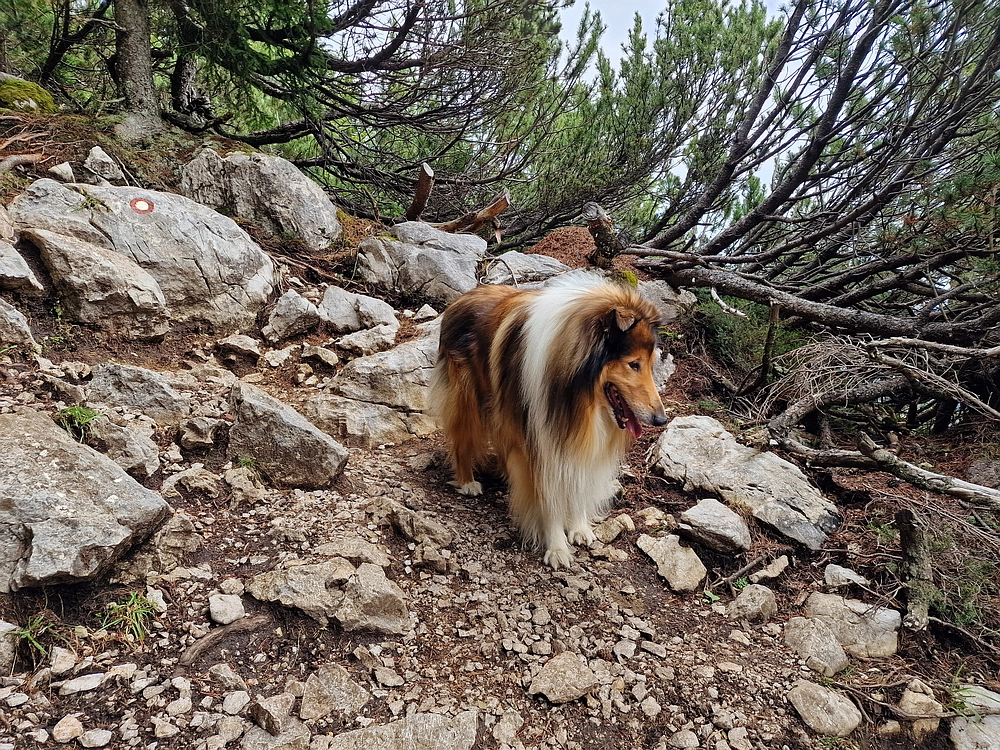 Tolsti vrh, 4. 10. 2025