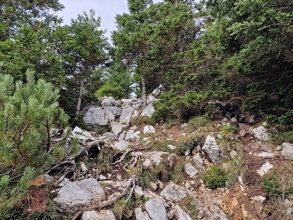 Tolsti vrh, 4. 10. 2025