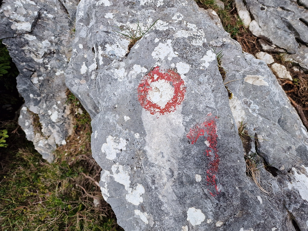 Tolsti vrh, 4. 10. 2025