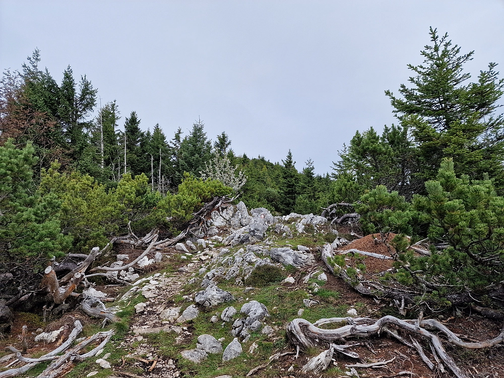 Tolsti vrh, 4. 10. 2025