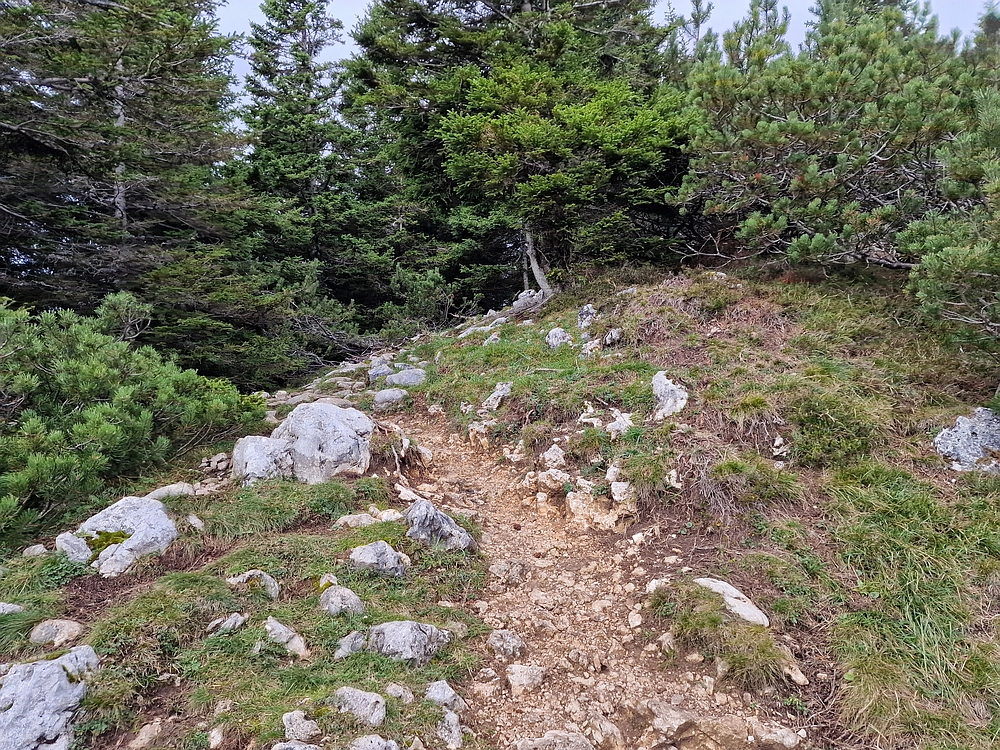 Tolsti vrh, 4. 10. 2025