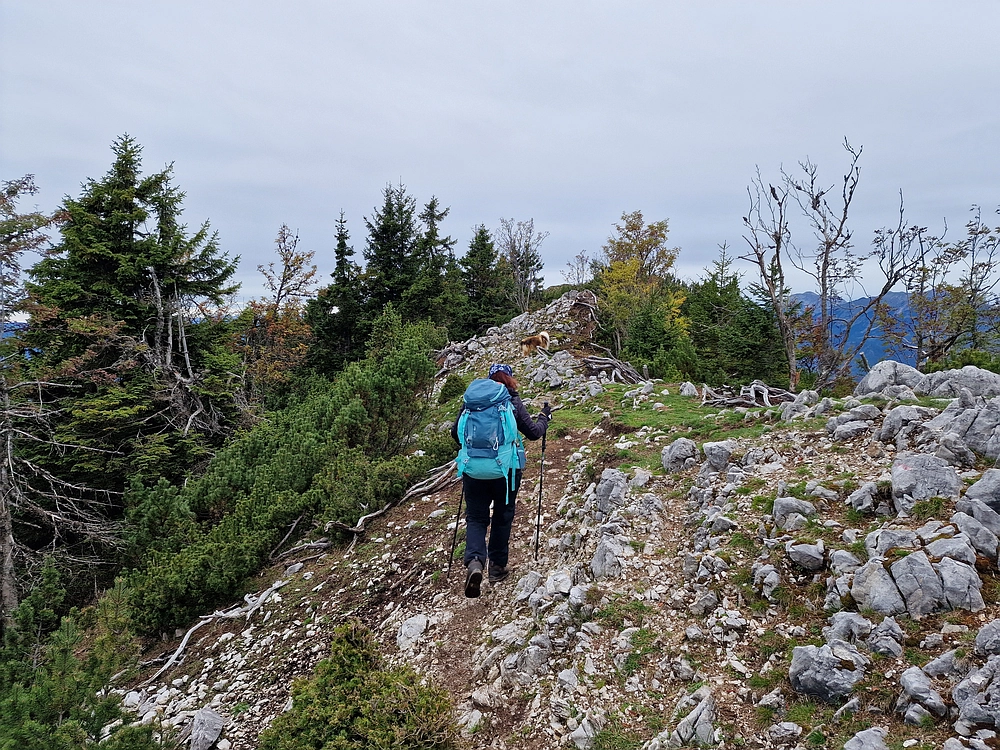 Tolsti vrh, 4. 10. 2025