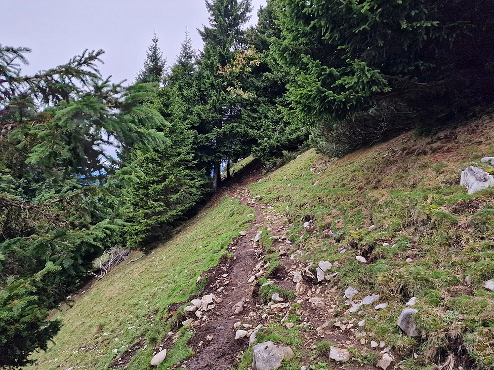 Tolsti vrh, 4. 10. 2025