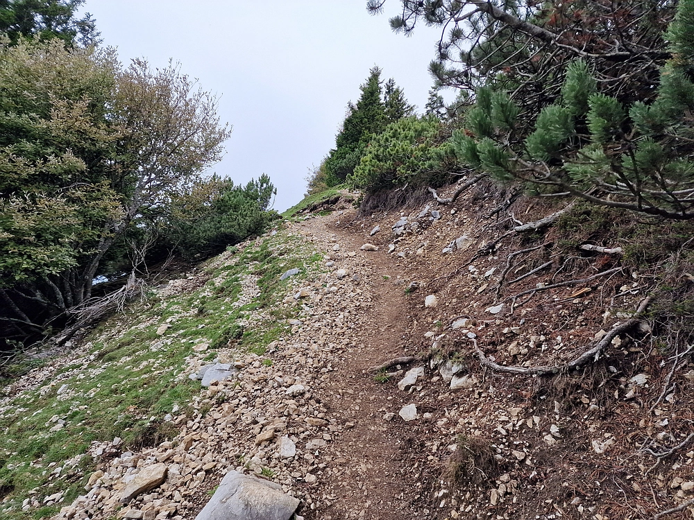 Tolsti vrh, 4. 10. 2025