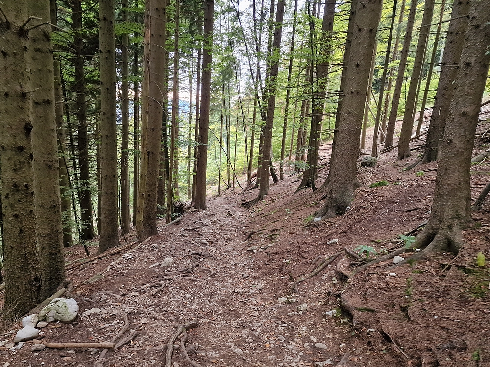 Tolsti vrh, 4. 10. 2025