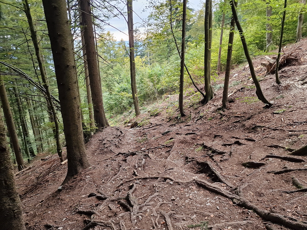 Tolsti vrh, 4. 10. 2025