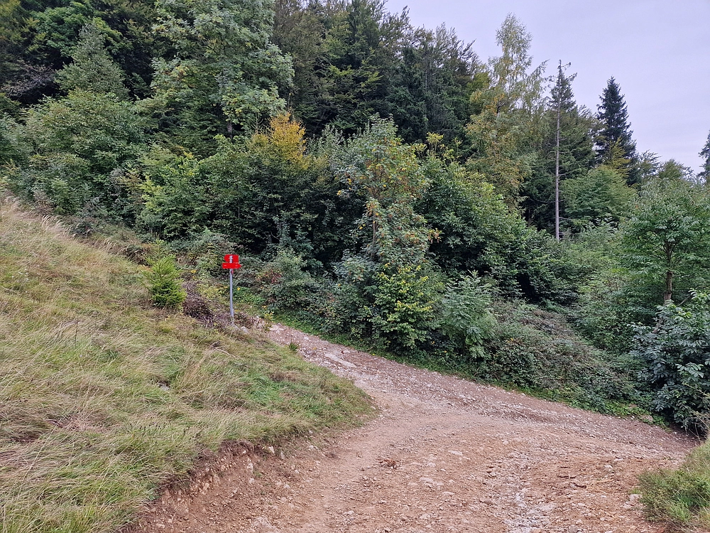 Tolsti vrh, 4. 10. 2025