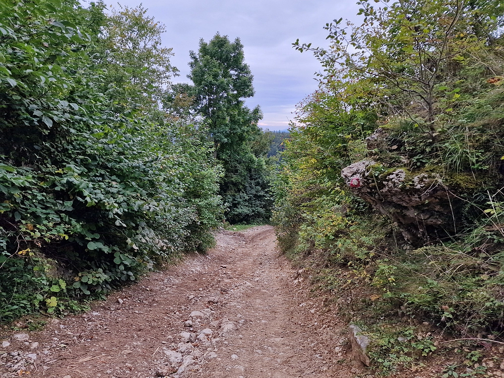 Tolsti vrh, 4. 10. 2025