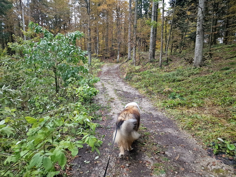 Ratitovec, 12. 10. 2025