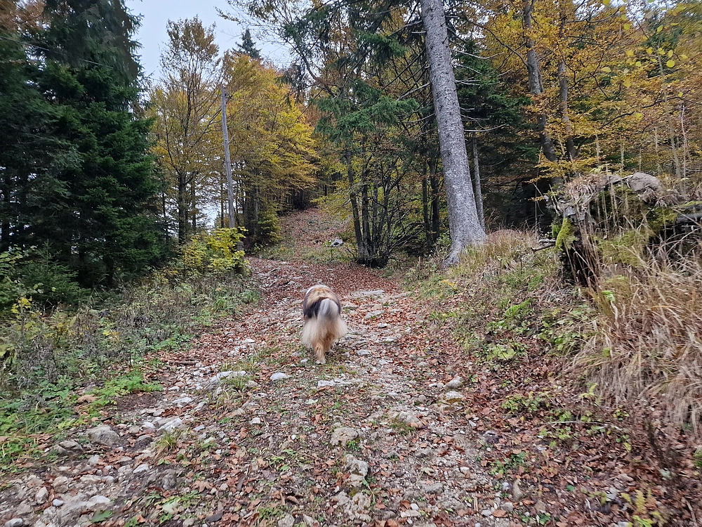 Ratitovec, 12. 10. 2025