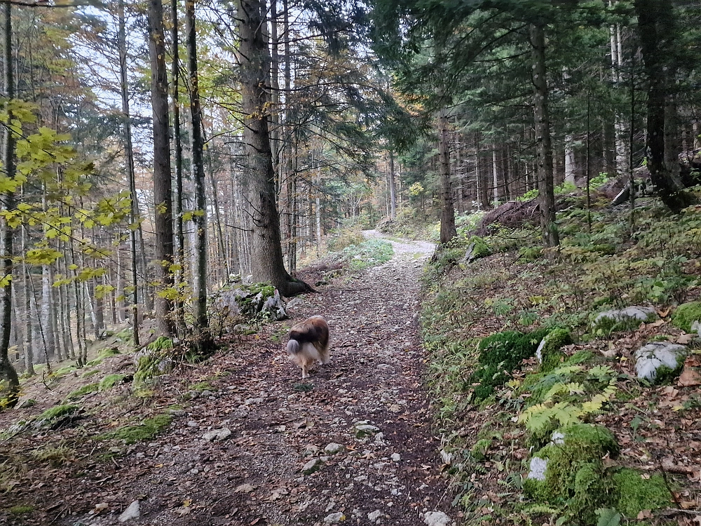 Ratitovec, 12. 10. 2025