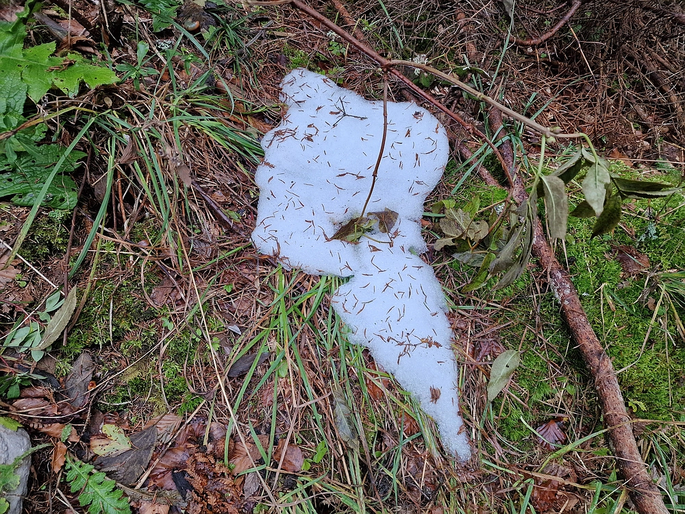 Ratitovec, 12. 10. 2025