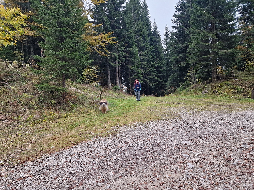 Ratitovec, 12. 10. 2025