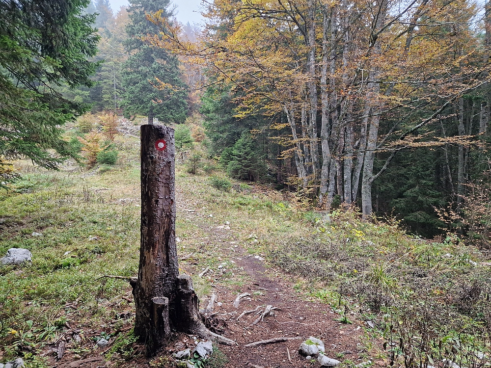 Ratitovec, 12. 10. 2025