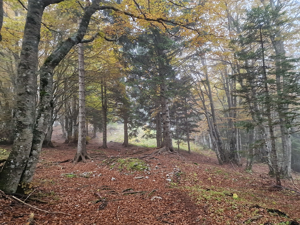 Ratitovec, 12. 10. 2025