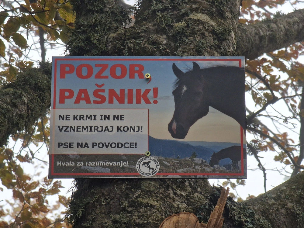 Ratitovec, 12. 10. 2025