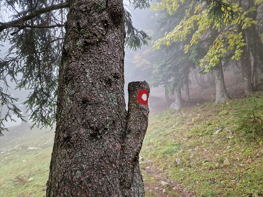 Ratitovec, 12. 10. 2025