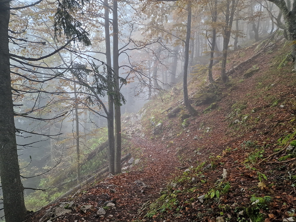 Ratitovec, 12. 10. 2025