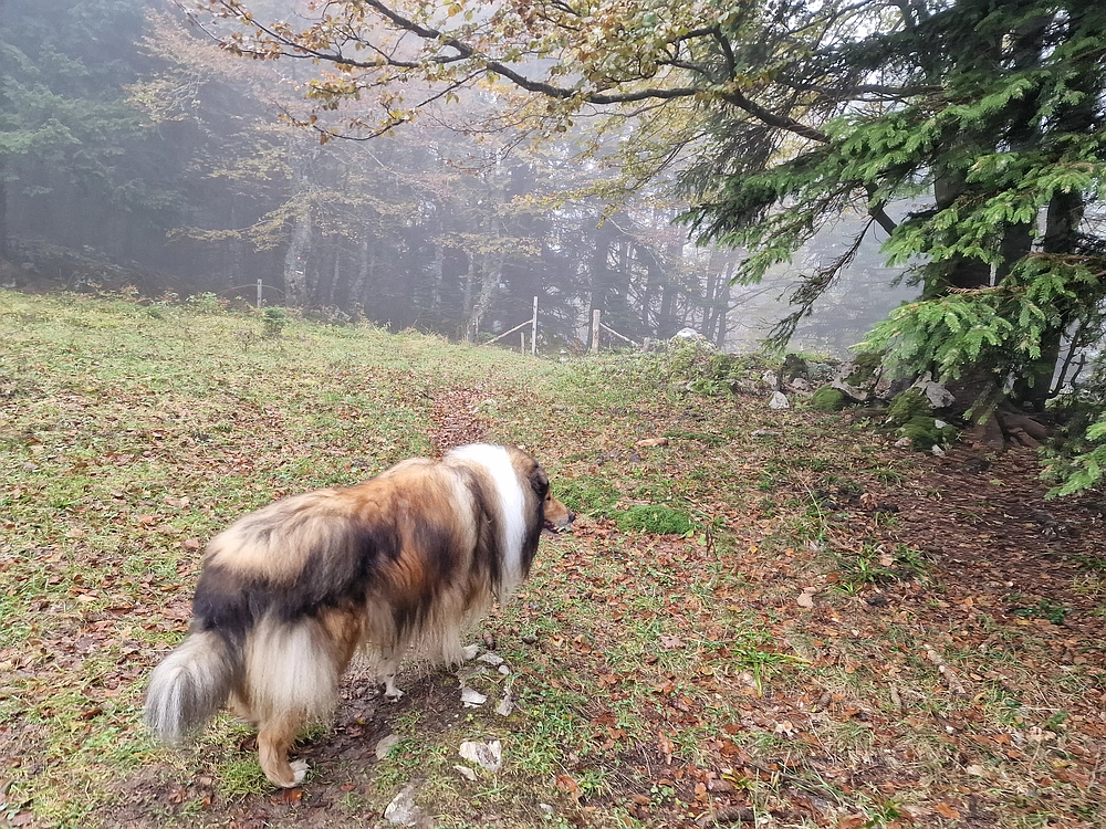 Ratitovec, 12. 10. 2025