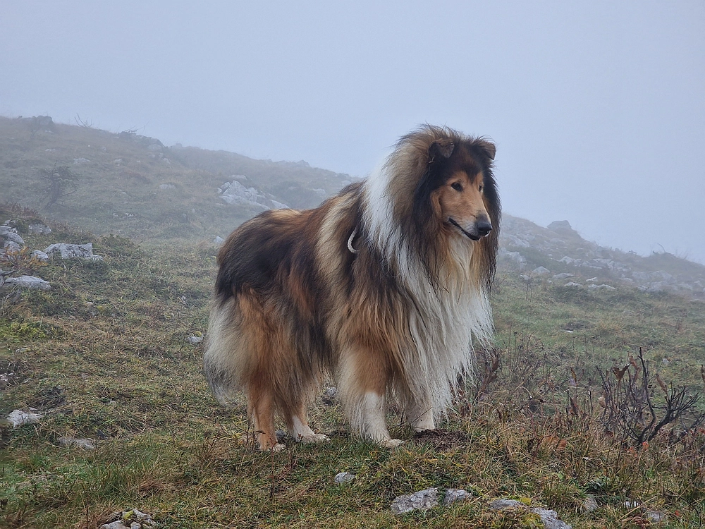 Ratitovec, 12. 10. 2025