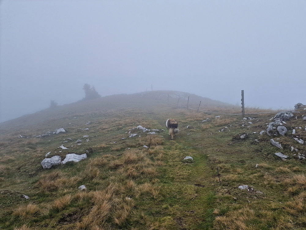 Ratitovec, 12. 10. 2025