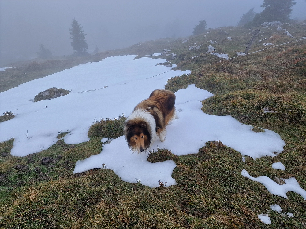 Ratitovec, 12. 10. 2025