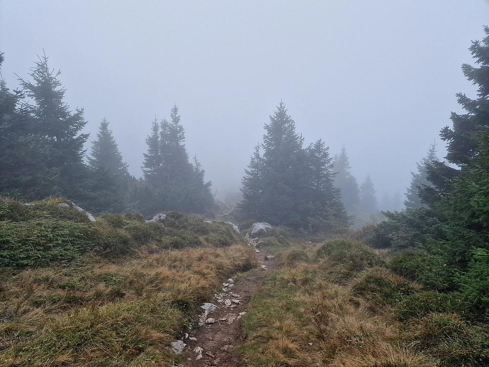 Ratitovec, 12. 10. 2025