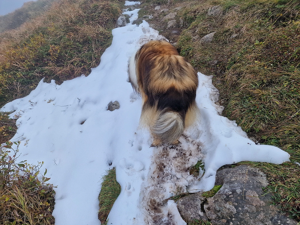 Ratitovec, 12. 10. 2025