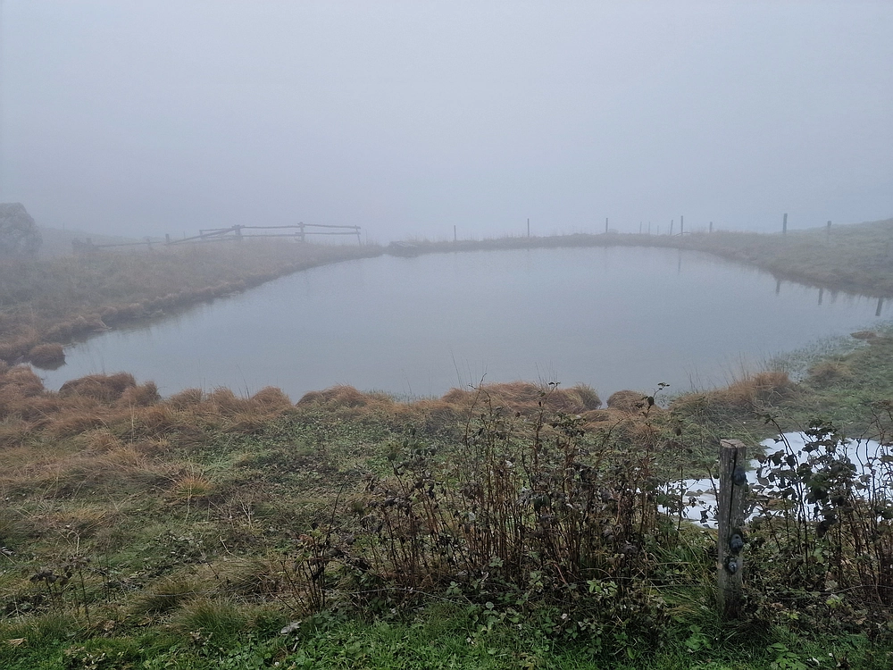 Ratitovec, 12. 10. 2025