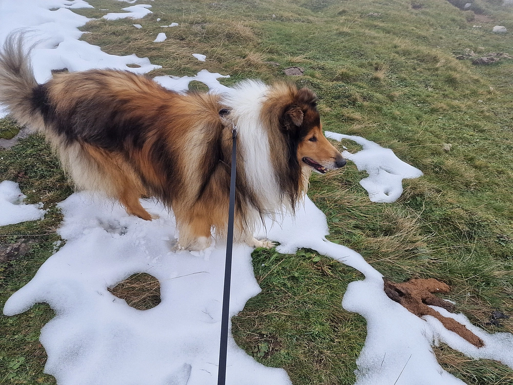 Ratitovec, 12. 10. 2025