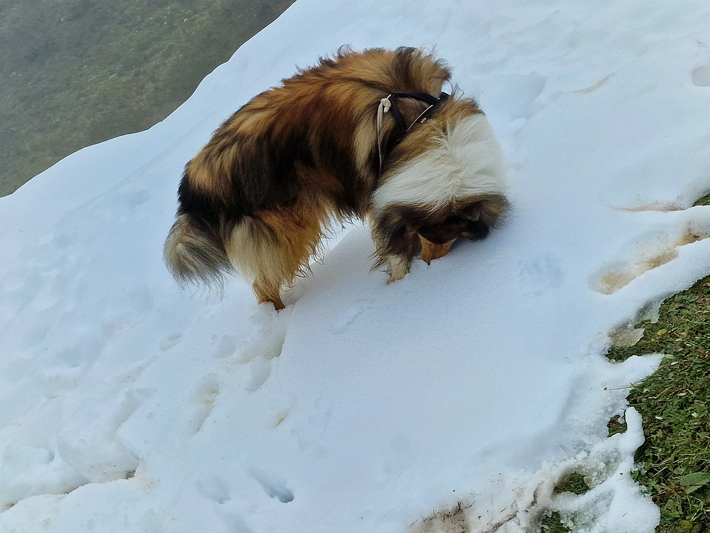 Ratitovec, 12. 10. 2025