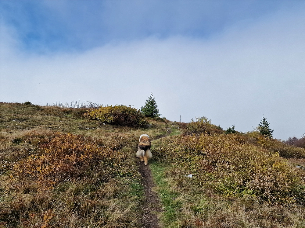 Ratitovec, 12. 10. 2025