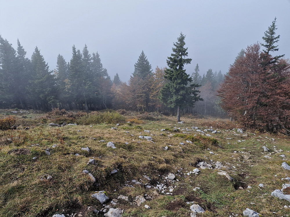 Ratitovec, 12. 10. 2025